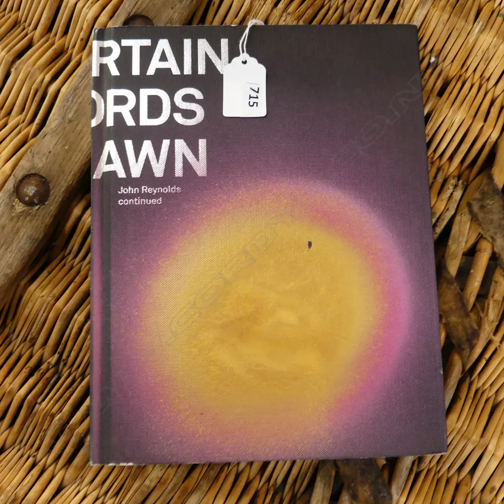 ART BOOK; CERTAIN WORDS DRAWN: JOHN REYNOLDS CONTINUED, GODWIT 2008 SIGNED & NUMBERED 104/200 H.245mm Image 1++