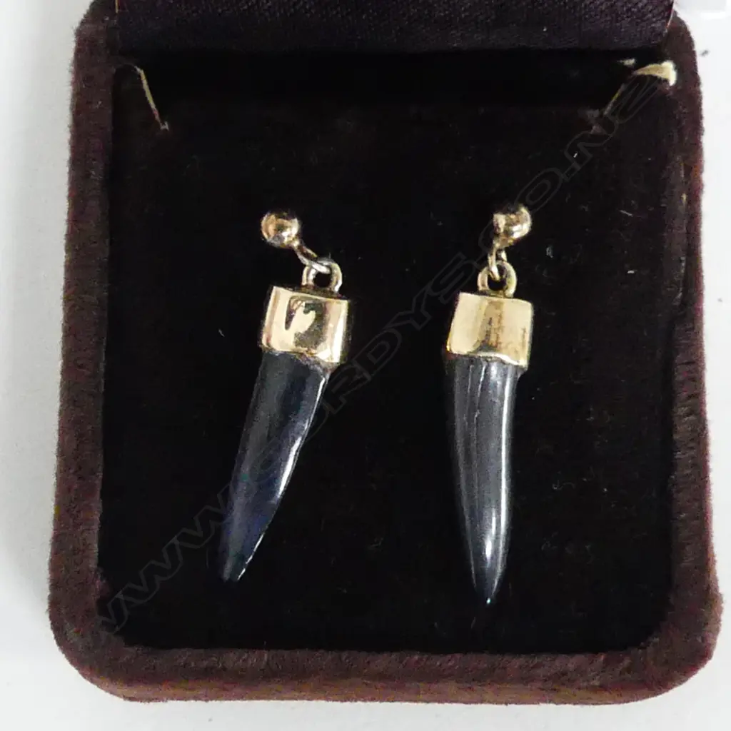 PR ANCIENT FOSSILISED SHARKES TOOTH & 9CT EARRINGS no butterflies Image 1++