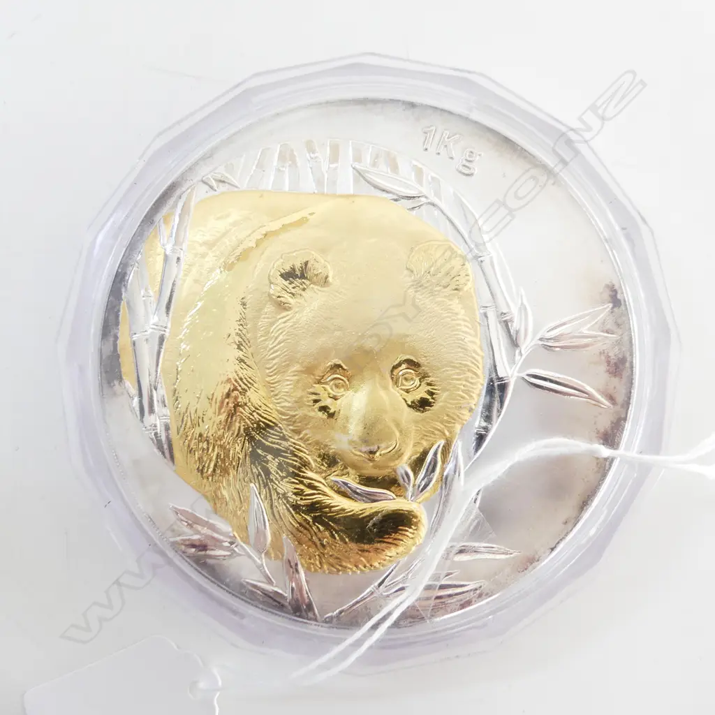 1KG COIN 2003 PANDA FAKE? Dia,100mm in plastic proof type case  (423 gms) Image 1++