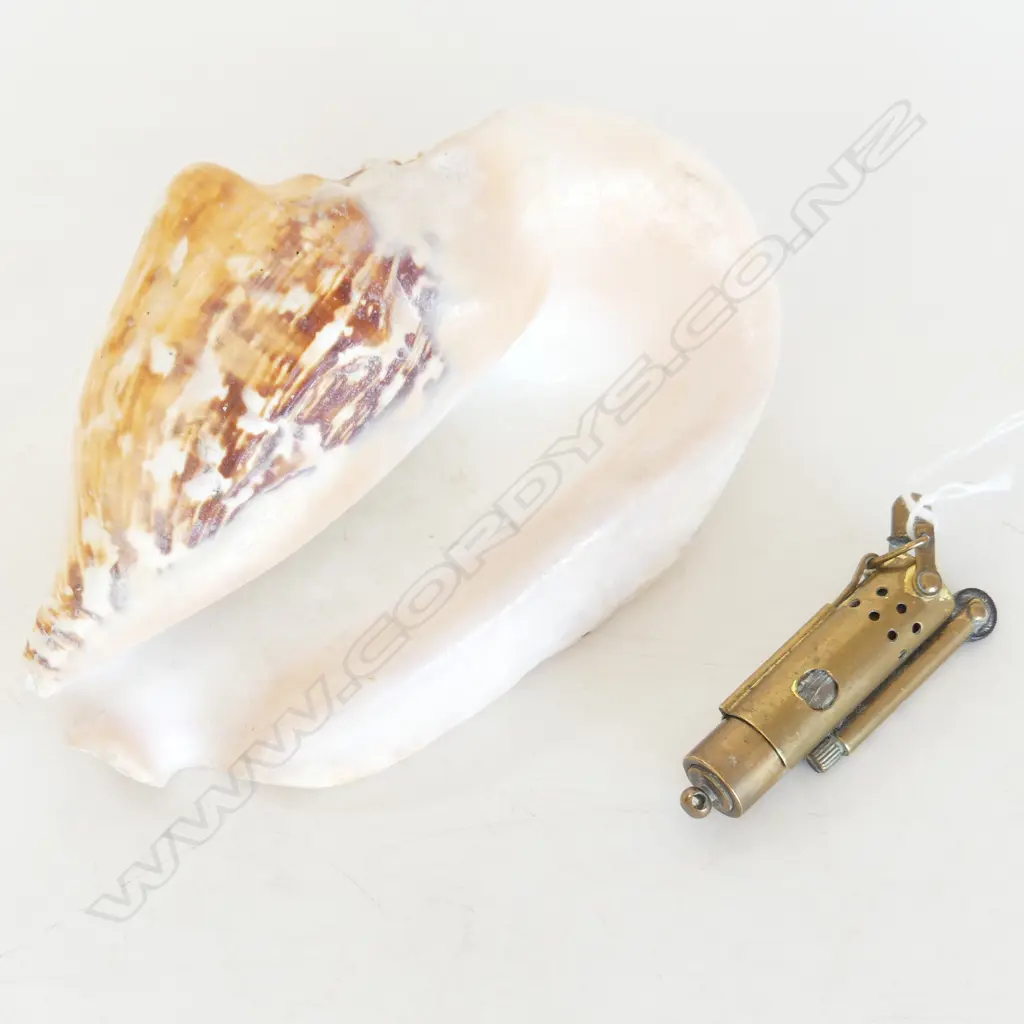 LRG CONCH SHELL & BRASS TRENCH LIGHTER Image 1++