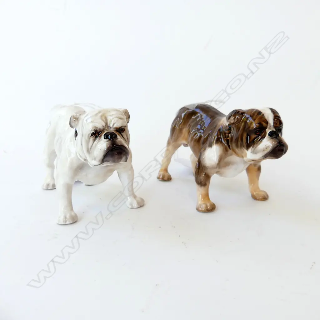 2 R/D BULLDOGS H80MM Image 1++
