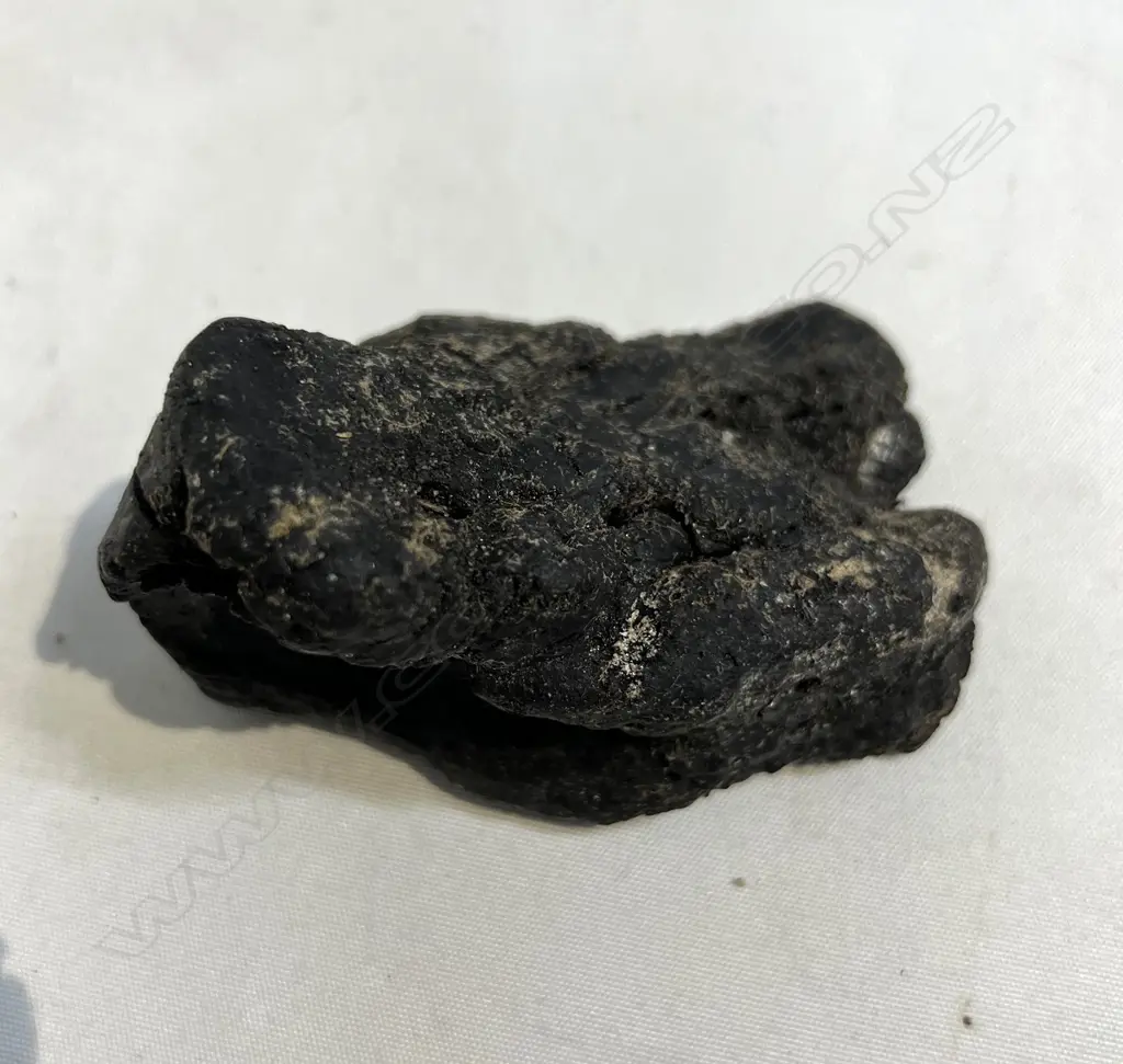 WHALE AMBERGRIS LUMP 74gms Provenance: Found by our vendor after a storm at a New Plymouth beach. Image 1++