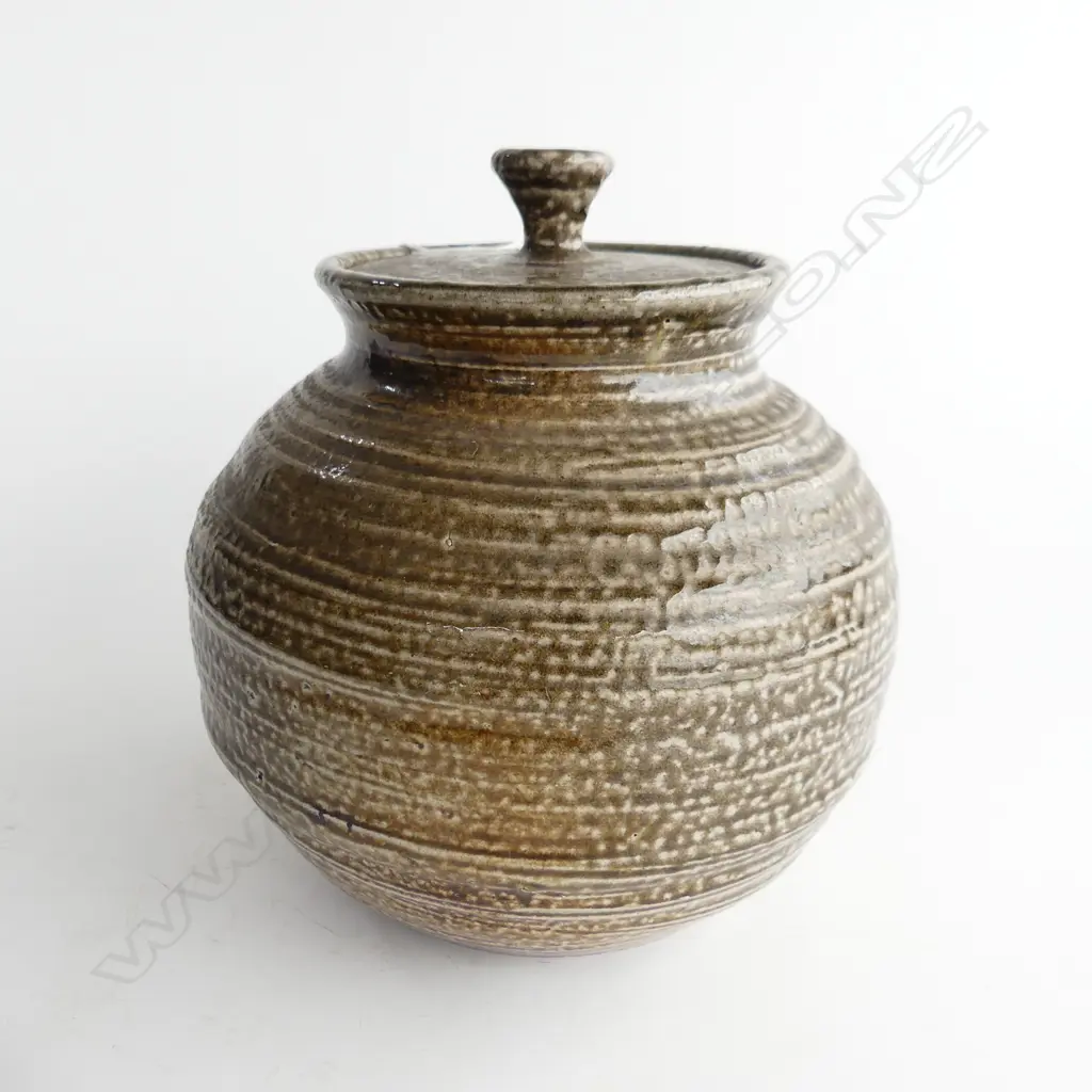 NEW ZEALAND STUDIO POTTERY OVOID SALT GLAZED JAR Image 1++