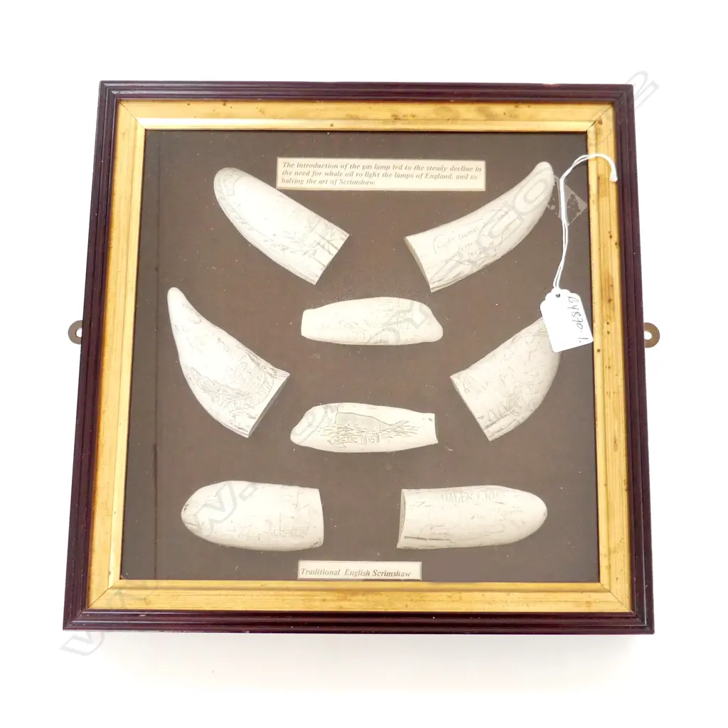 **RTV**CASED SET RESIN SCRIMSHAW 8 PIECES + PLAQUE ÁRTIC 1810'... CAPTAIN DANIEL JORDAN... Image 1++