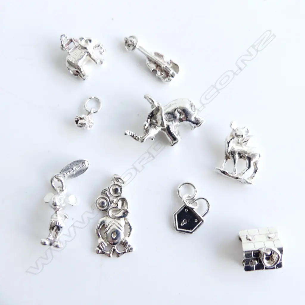 BAG 9 ASST STG SILVER CHARMS 23gms Image 1++