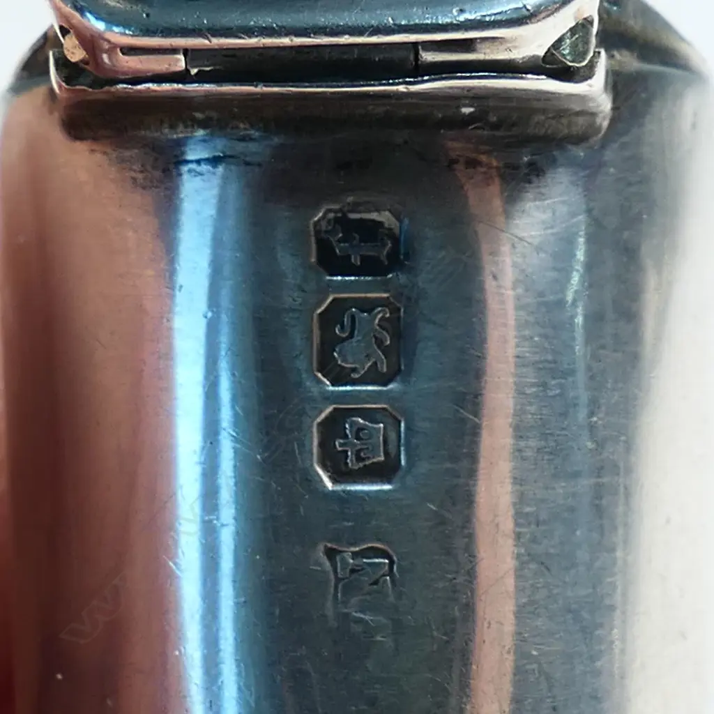 A Victorian amber cigar holder in silver case, Image 1++