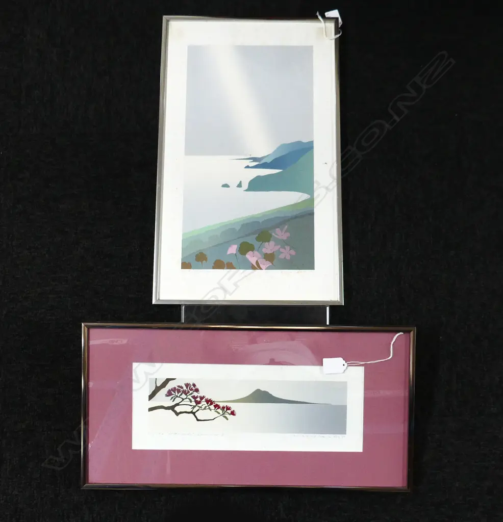 2 MALCOLM WARR SCREENPRINTS 'HAURAKI SUMMER II' '85 111/150 135x355mm, 'SPRING SUN SHAFT' '85 64/150 495x295mm Image 1++