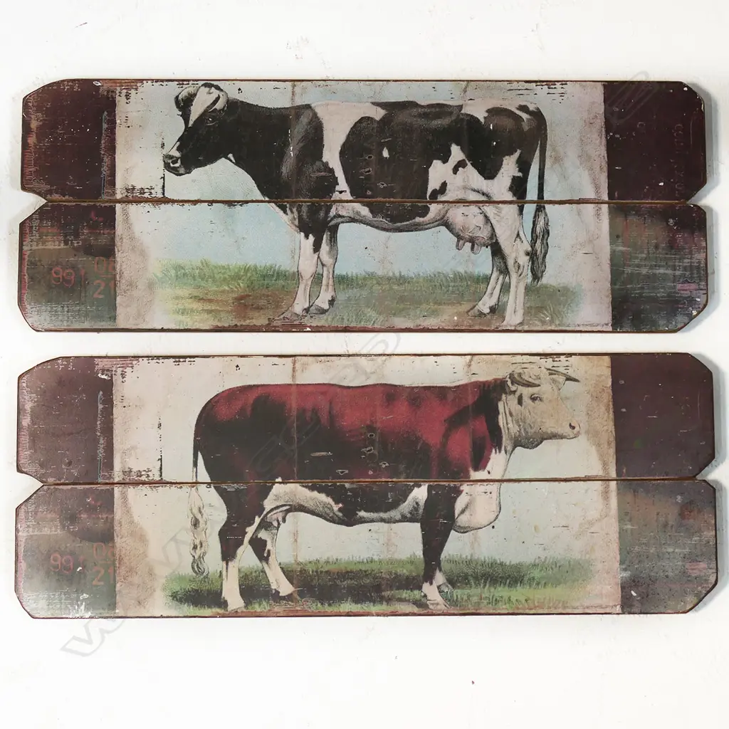 PAIR OF COUNTRY COW PRINTS ON BOARD L.820mm Image 1++