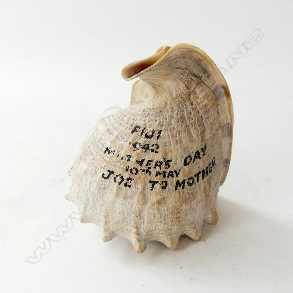 WWII SOUVENIR HAND PAINTED CONCH SHELL OF SHIP ISA LEI, SUVA FIJI 1942. SIGNED “BY EMS SUVA” FIJI 1942 INSCRIPTION TO RE Image 1++