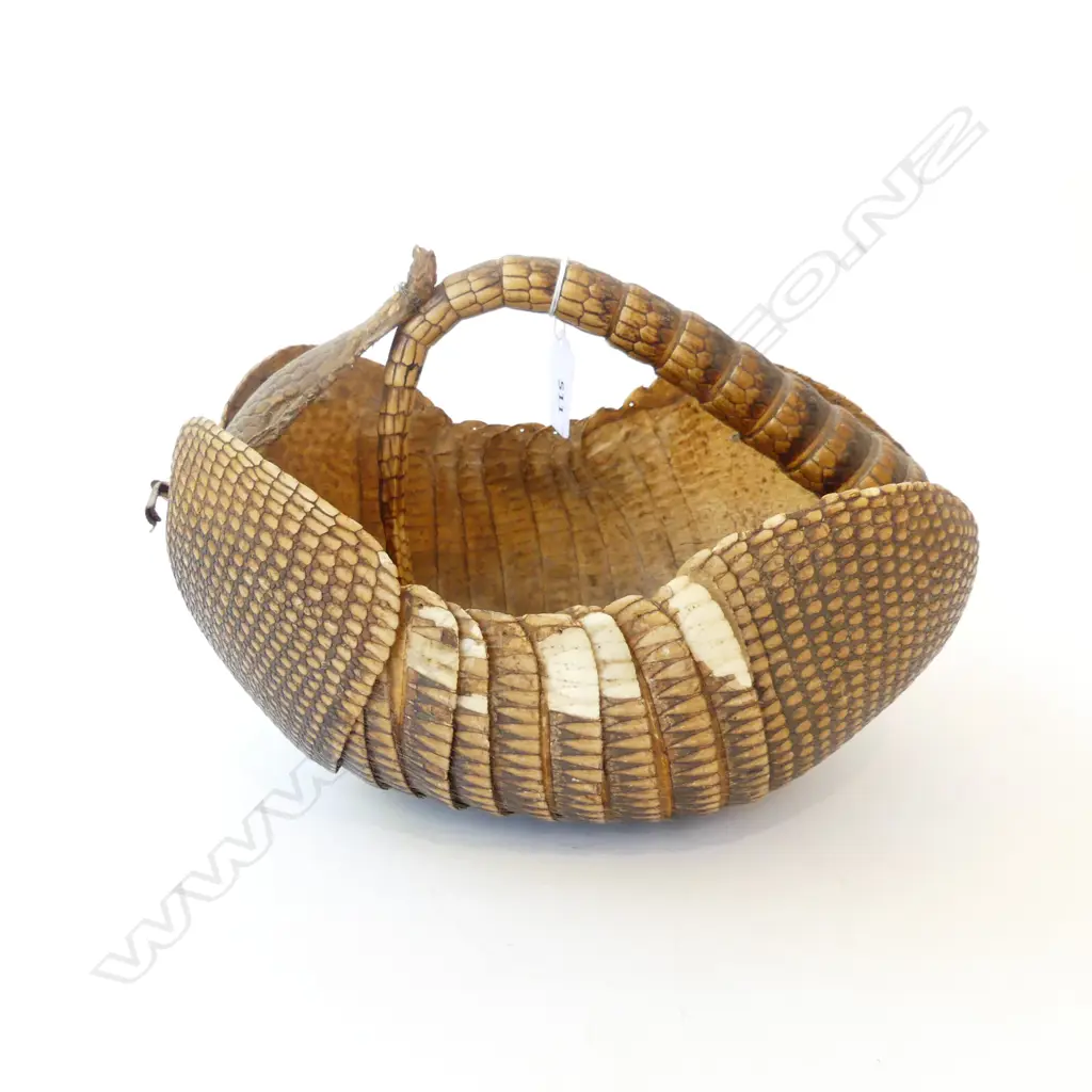 VINTAGE ARMIDILLO BASKET snout connecting to tail l.285mm. Image 1++