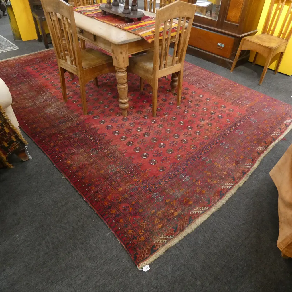 LARGE RED HAND KNOTTED TURKOMAN RUG 2360 x 3400mm Image 1++