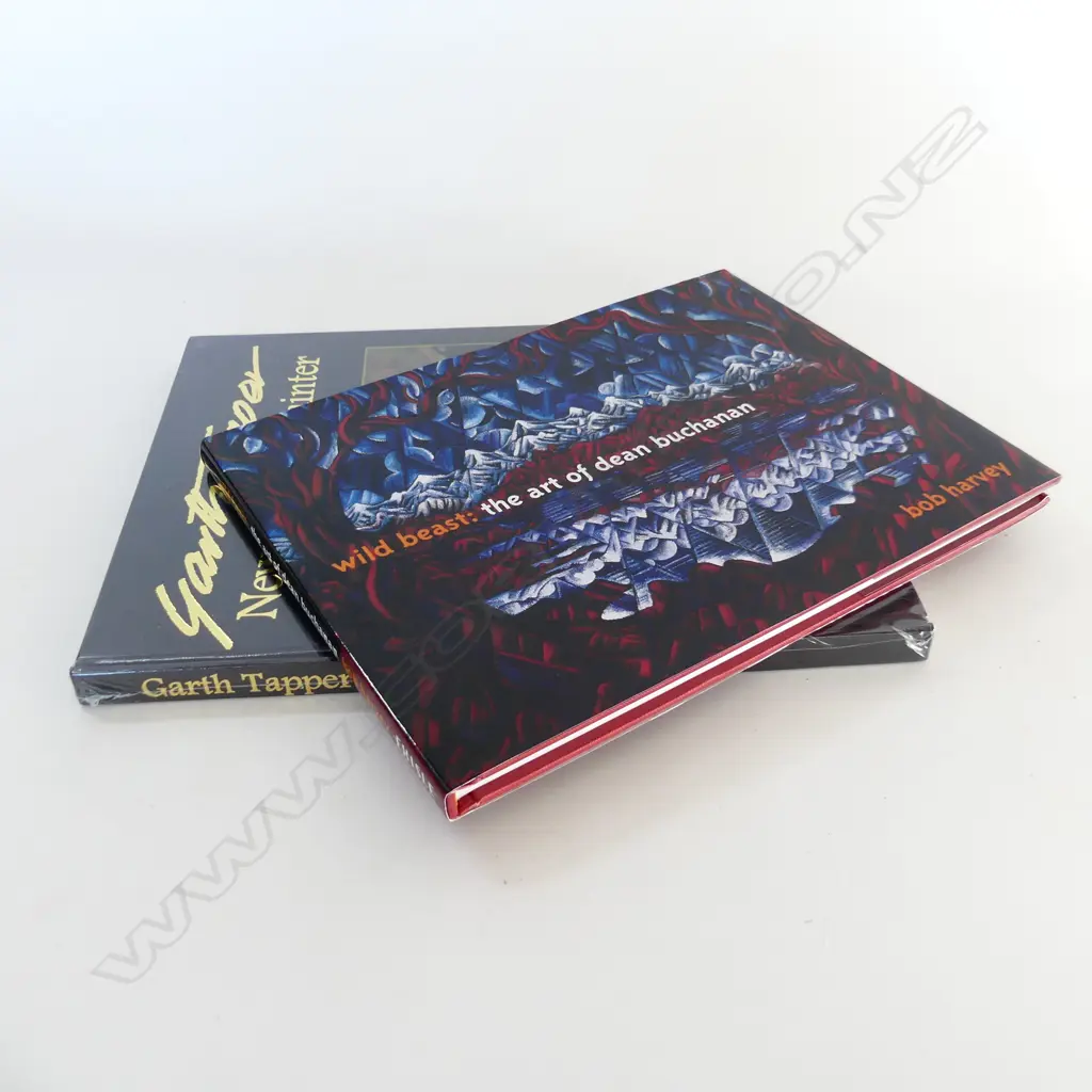 2 NZ ART REFERENCE BOOKS: 'wild beast: 'The Art of Dean Buchanan' signed +'Garth Tapper NZ painter' sealed as new copy Image 1++