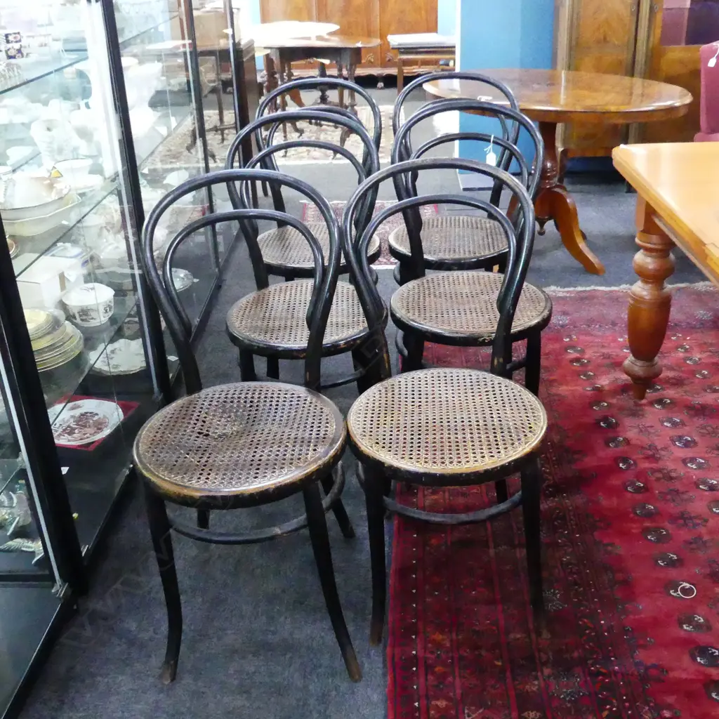 SET 6 EBONISED CANE SEATED BENTWOOD CHAIRS ONE SEAT DAMAGED.  Image 1++
