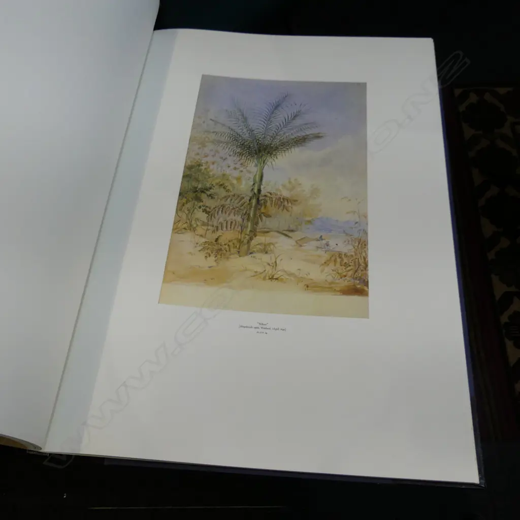 CHARLES HEAPHY W/C FOLIO 725x525mm 316/1000 AVON FINE PRINTS CHCH 1981 Image 1++