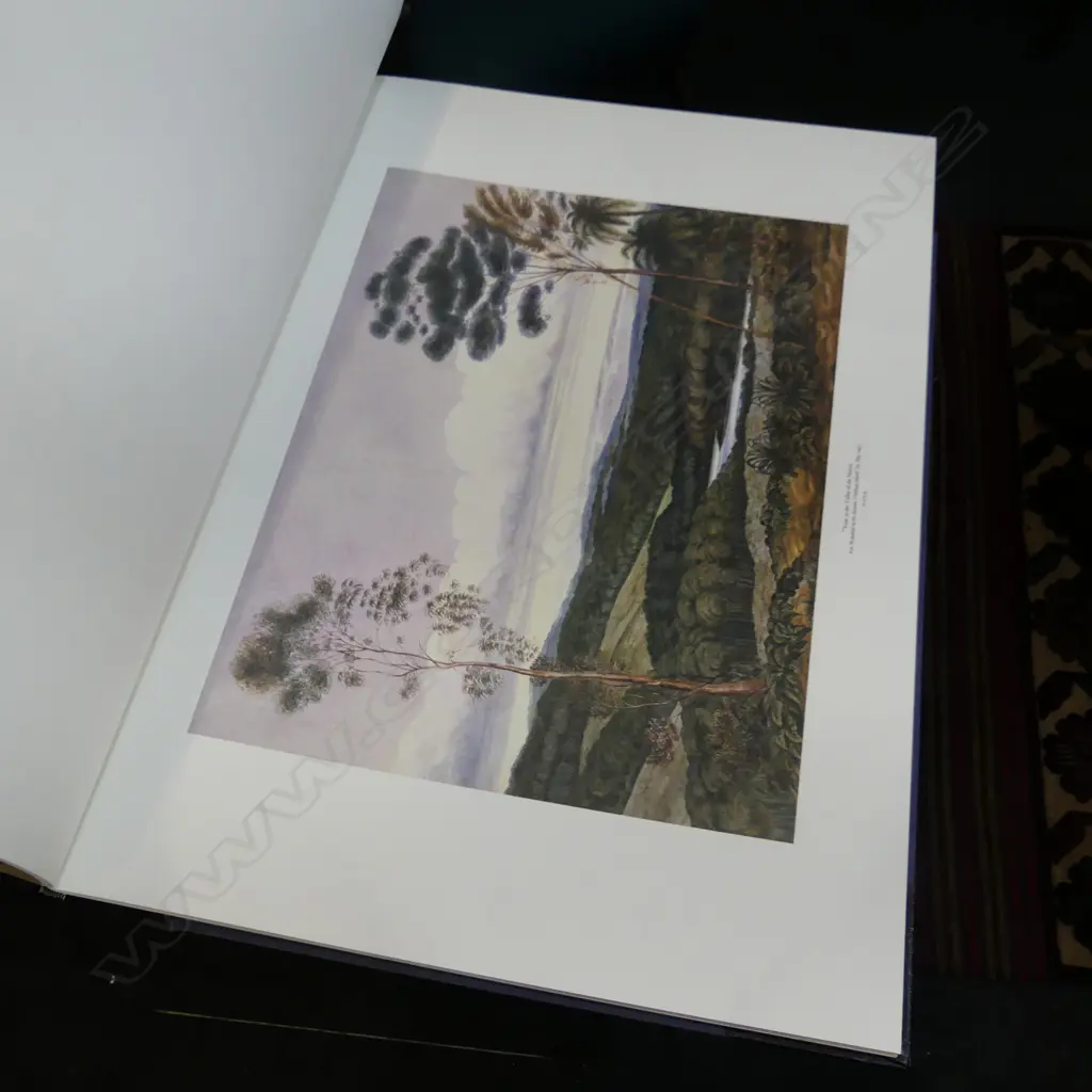 CHARLES HEAPHY W/C FOLIO 725x525mm 316/1000 AVON FINE PRINTS CHCH 1981 Image 1++