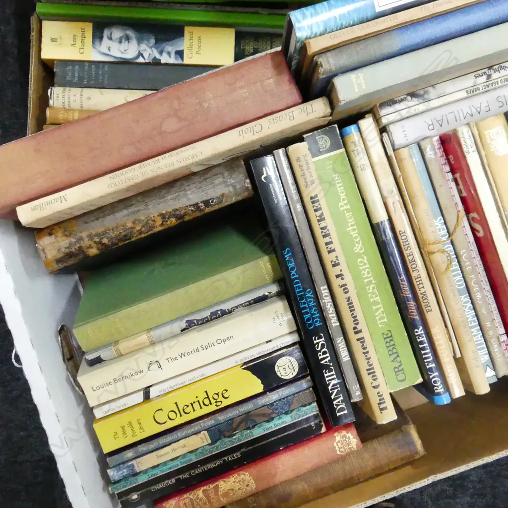 2 BOXES BOOKS: POETRY ETC Image 1++