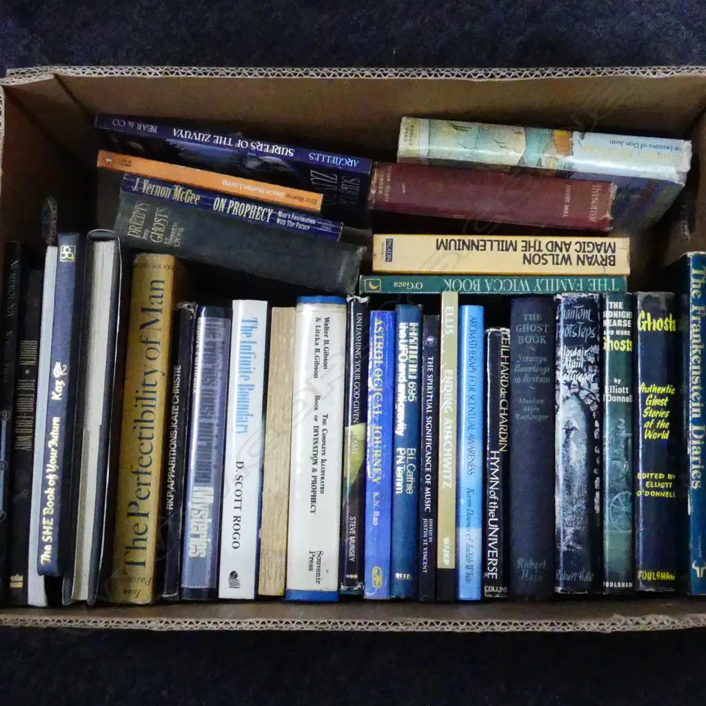 BOX OF BOOKS; SUPERNATURAL ALTERNATIVE INTEREST ETC Image 1++