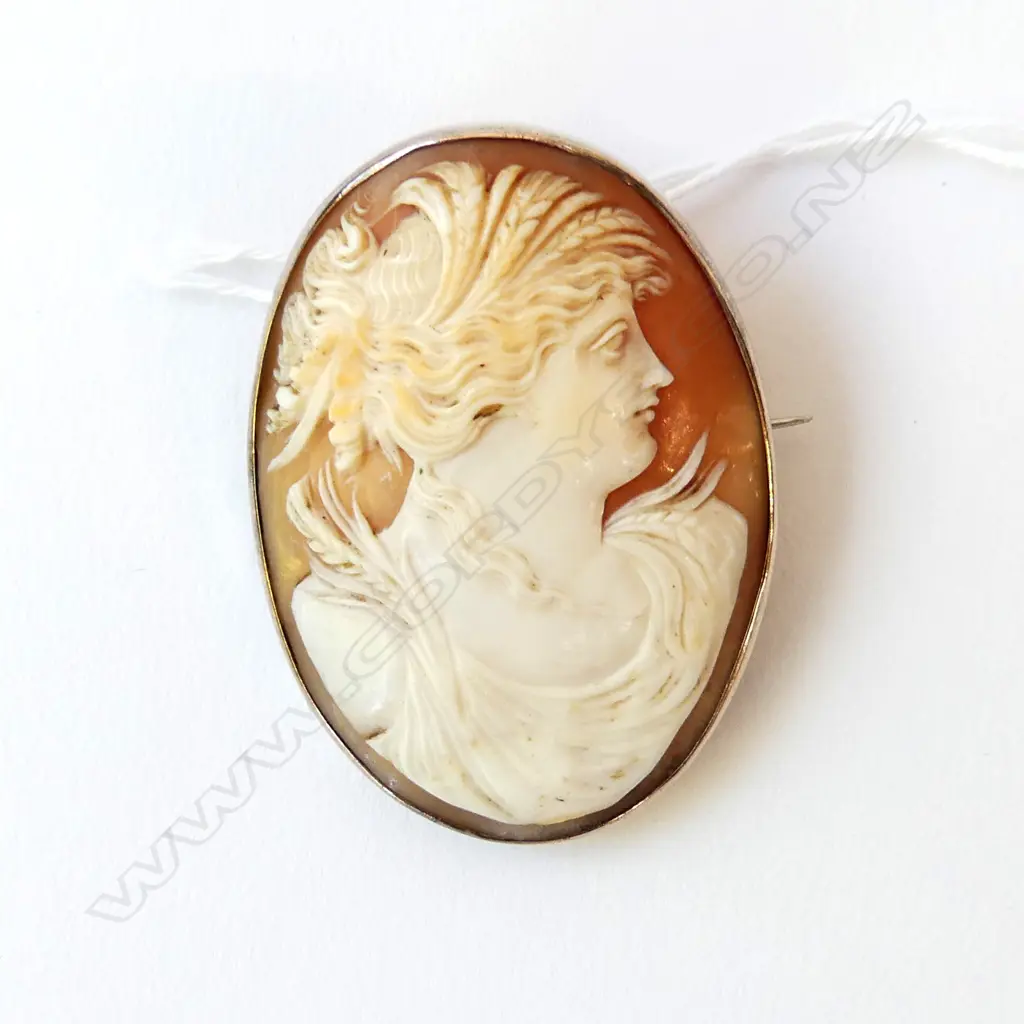 9ct CAMEO BROOCH, 37 x 50mm, 18.8gm Image 1++