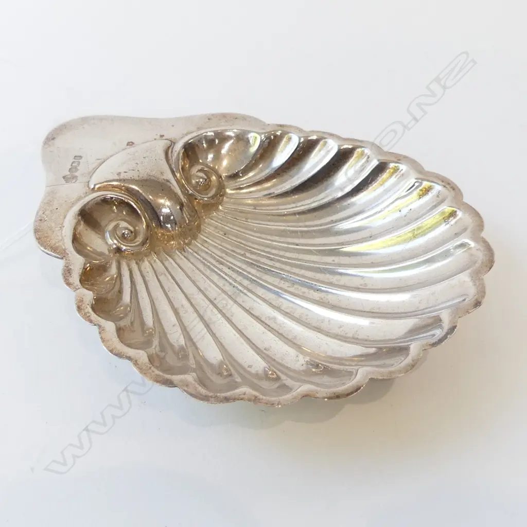 STG SILVER SHELL, SHEFFIELD 1899 57gm Image 1++