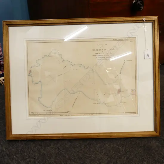 FRAMED SURVEY OTAGO HARBOUR - BARNICOAT & DAVISON 1845 290x415mm 