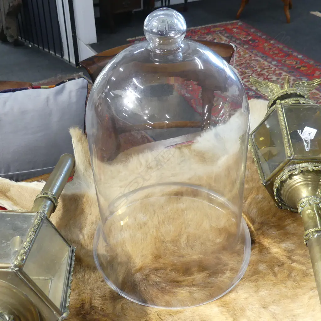 LG GLASS DOME CLOCHE H.470mm Image 1++