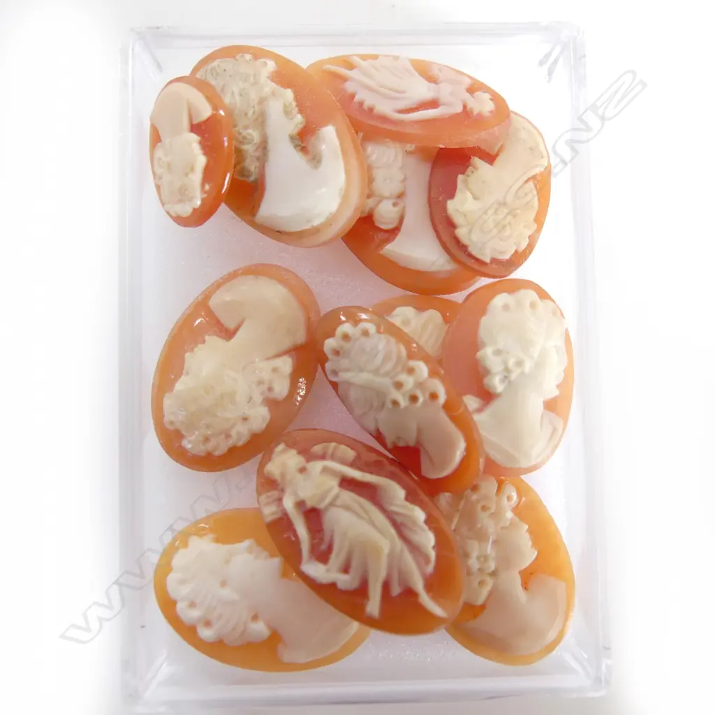 COLLECTION VINTAGE  CAMEO CARVINGS Image 1++