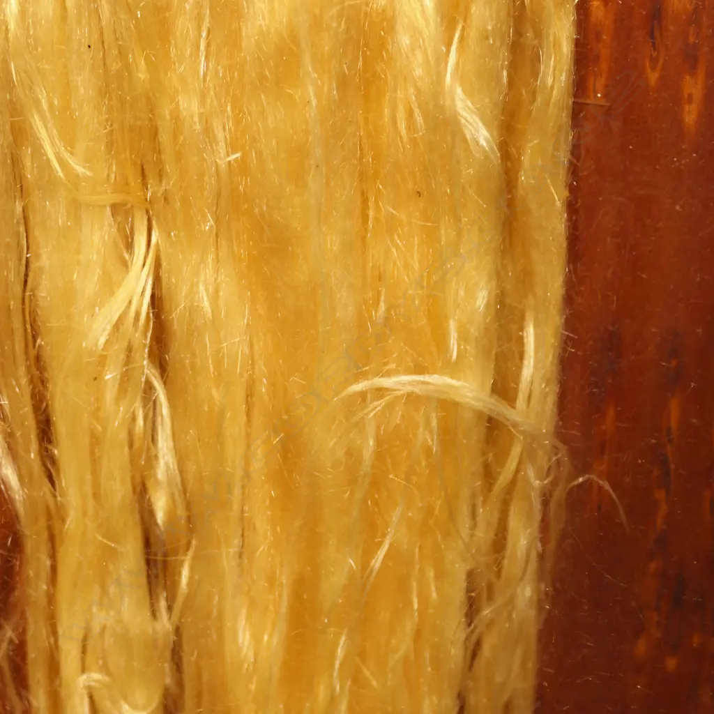 'TEASED' KAURI TO RESEMBLE HAIR, PRESENTED IN A KAURI KNOT CASE UNDERGLASS, SIMILAR EXAMPLE HELD AT KAURI GUM MUSEUM Image 1++