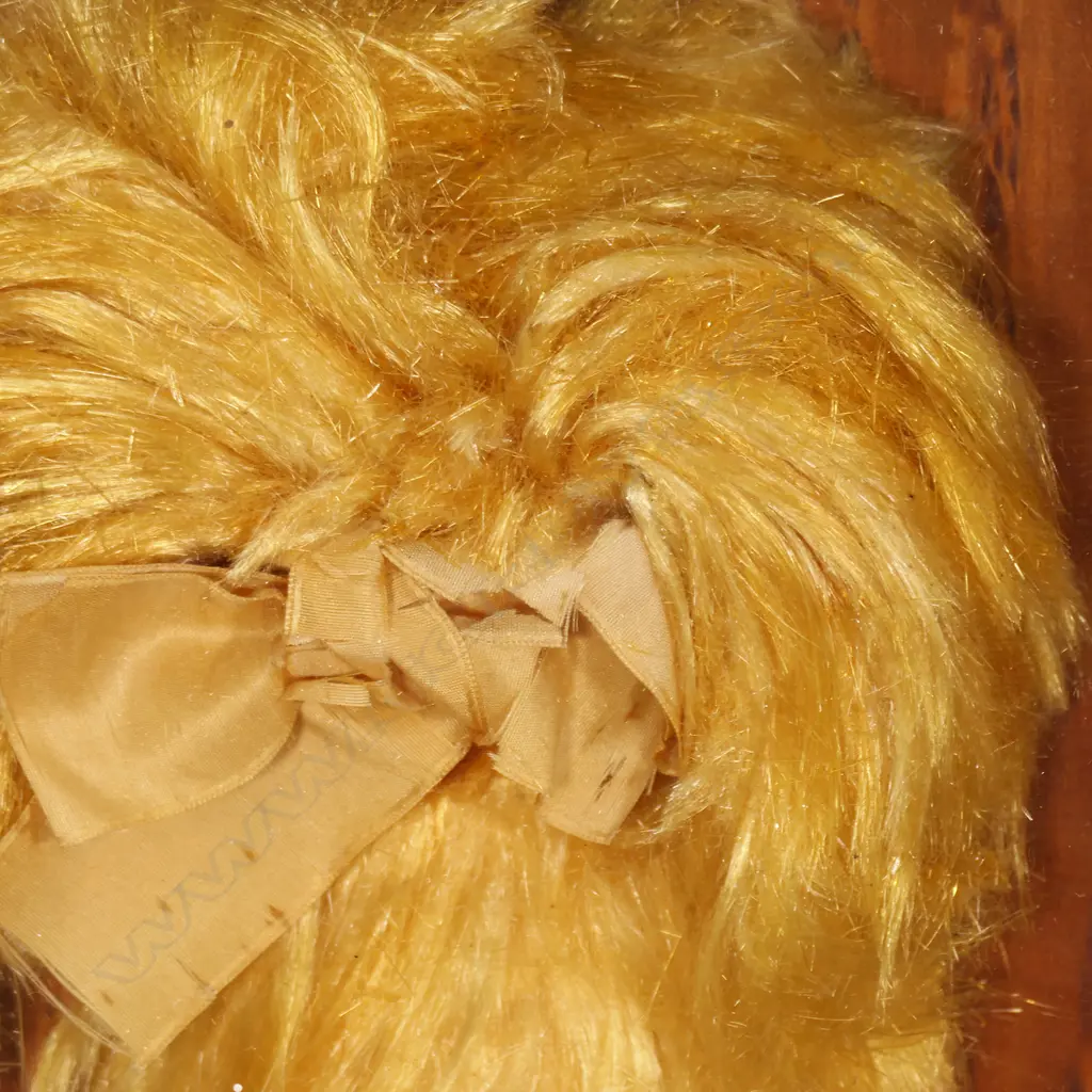 'TEASED' KAURI TO RESEMBLE HAIR, PRESENTED IN A KAURI KNOT CASE UNDERGLASS, SIMILAR EXAMPLE HELD AT KAURI GUM MUSEUM Image 1++