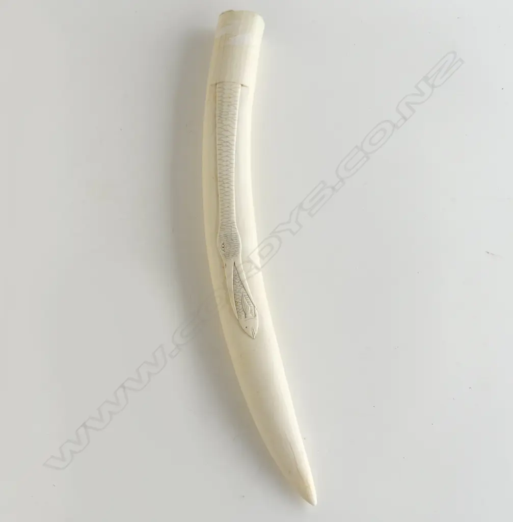 (24653) IVORY ESKIMO CARVED WALRUS TUSK WITH ENGRAVING OF A BIRD ABOUT TO SWALLOW A FISH. 430MM Image 1++