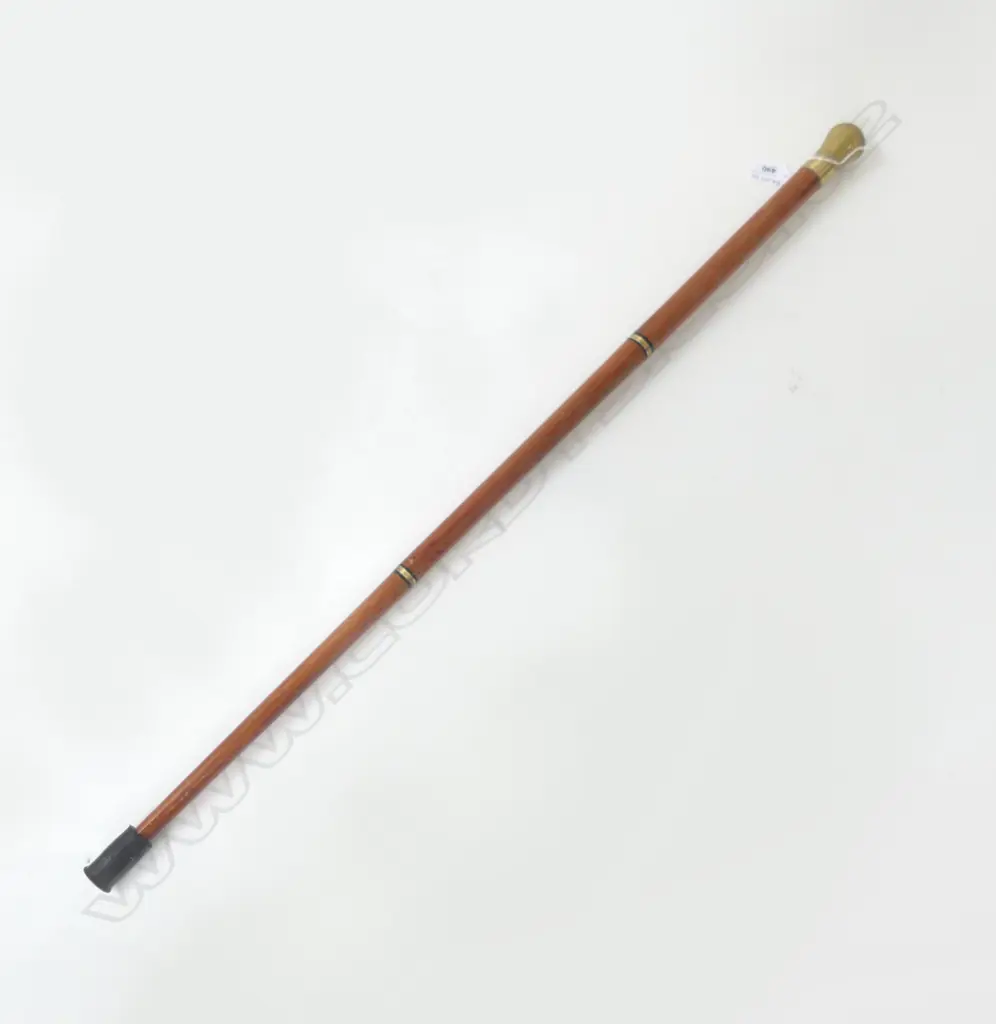 WALKING STICK IN 4 PARTS L.875mm Image 1++