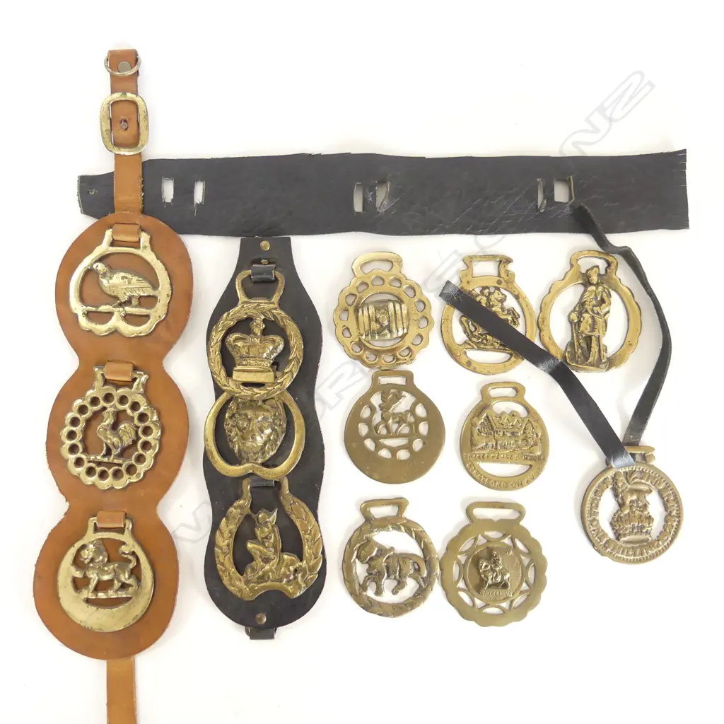 ASST. HORSE BRASSES Image 1++
