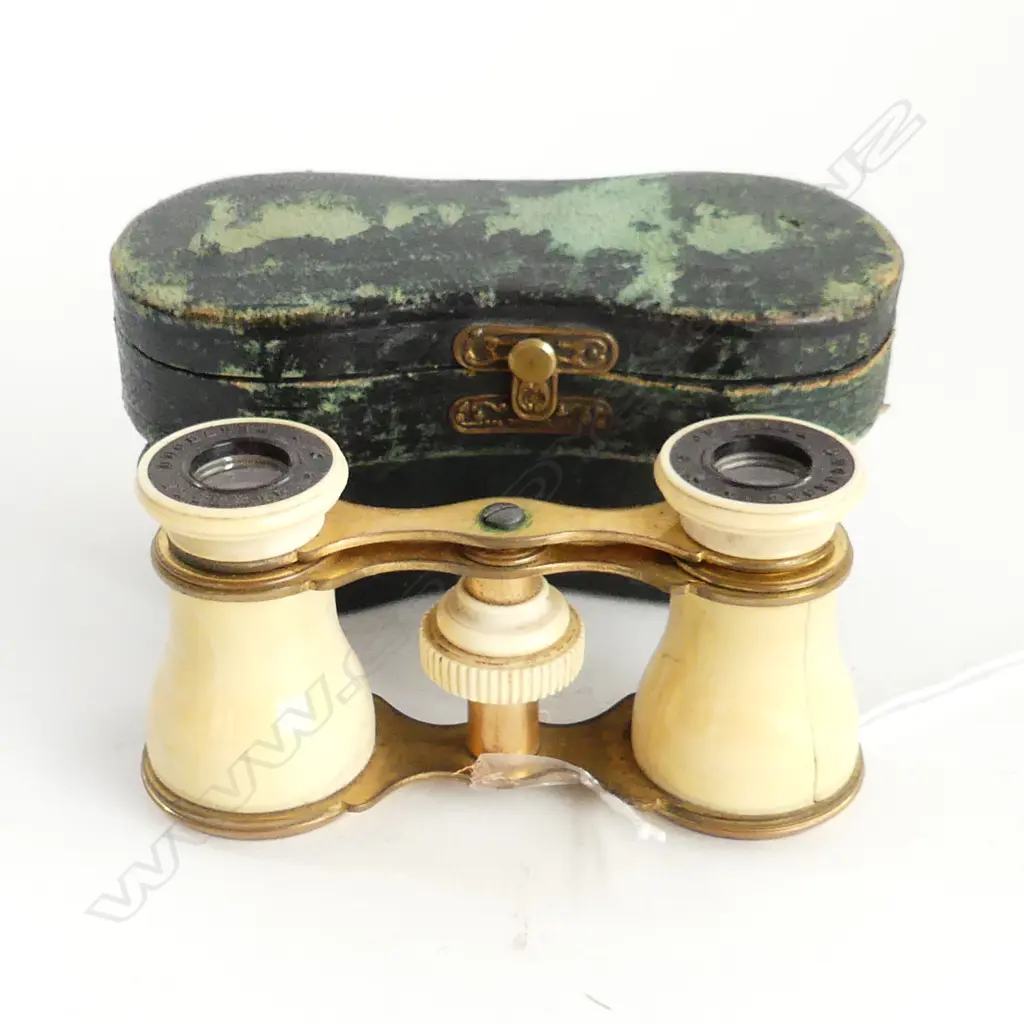 19thC JUMELLE DUCHESSE FRENCH OPERA GLASSES, CASED Image 1++