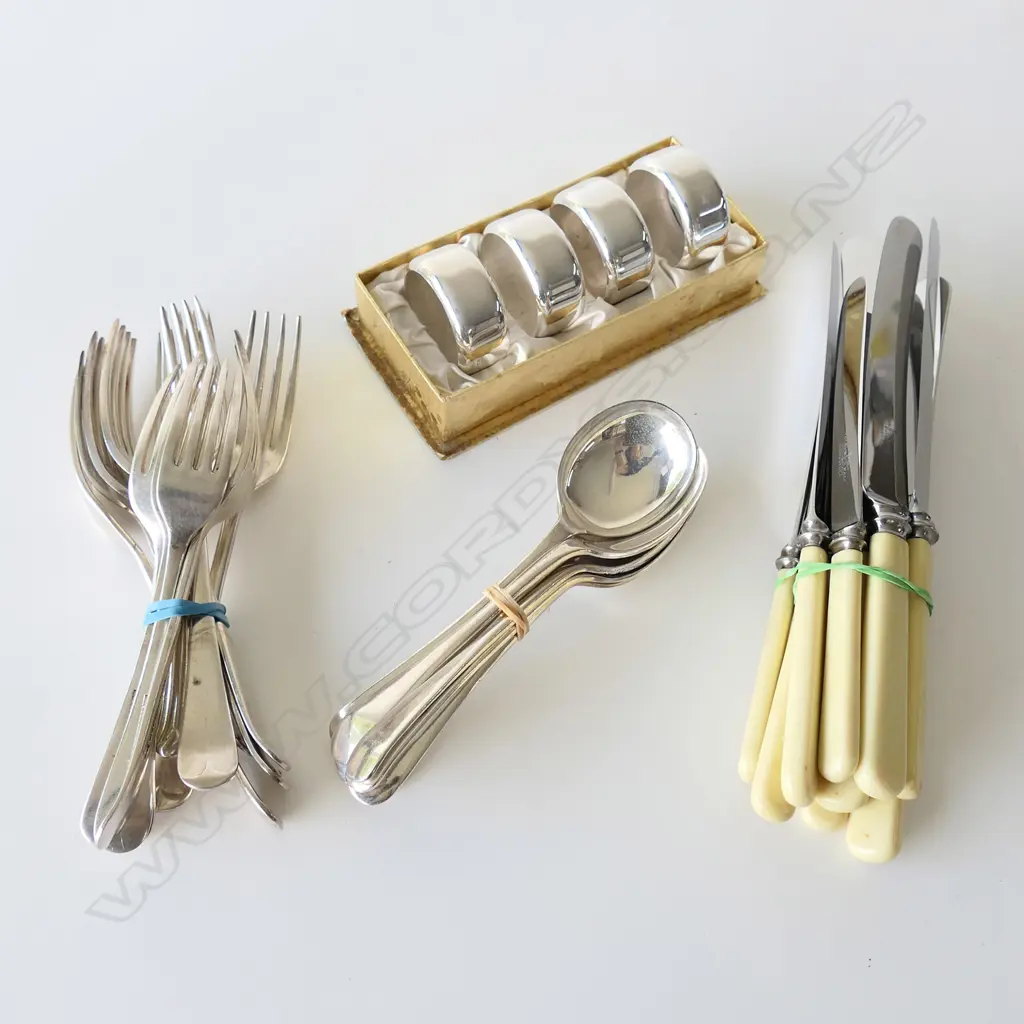 WALKER & HALL CUTLERY (KNIVES W CASEINE HANDLES) + BOXED SET 4 EP NAPKIN RINGS Image 1++