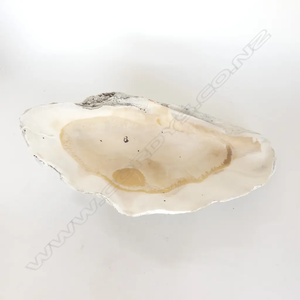 LG CLAM SHELL W.440mm Image 1++