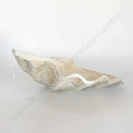 LG CLAM SHELL W.440mm