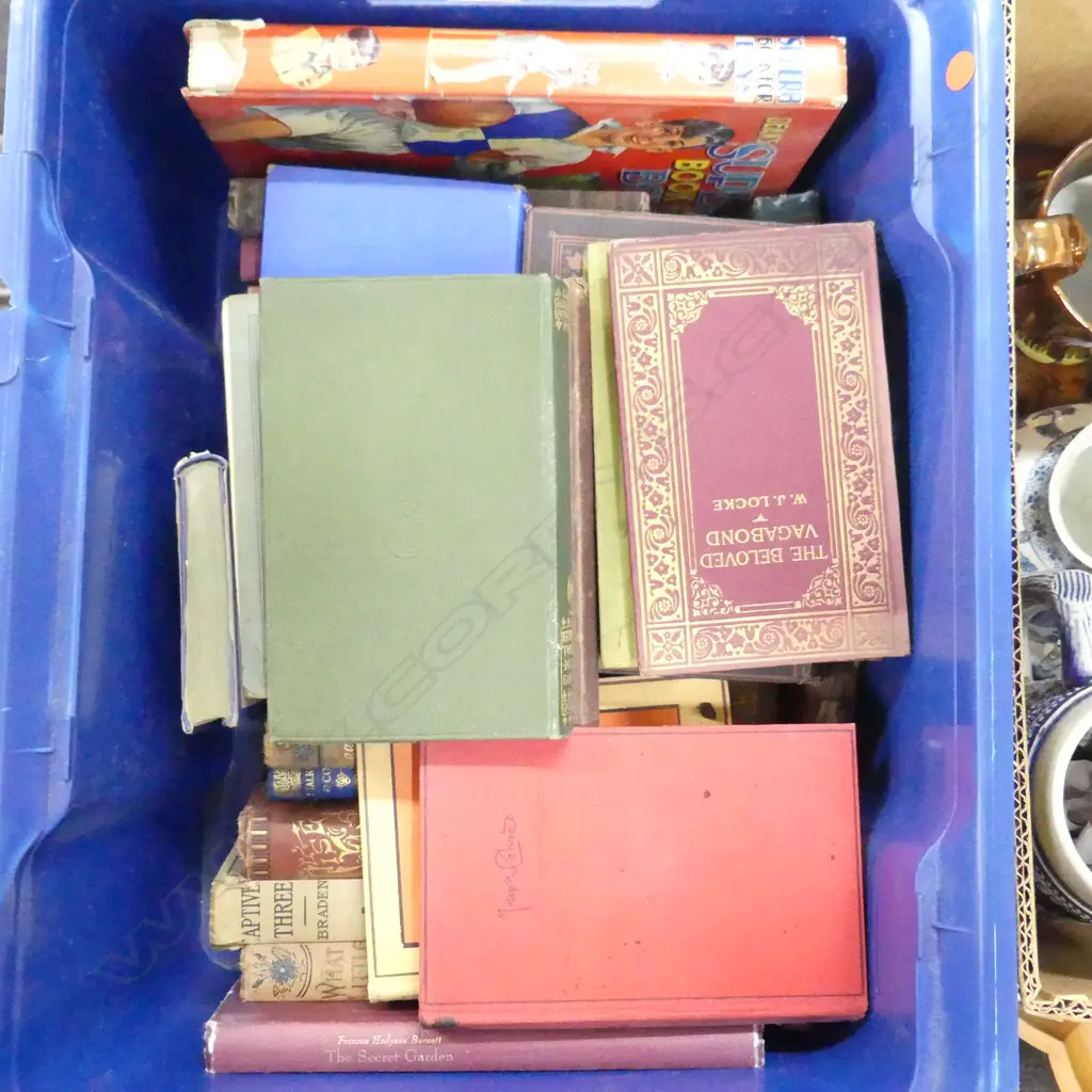 BLUE CRATE OF ANTIQUE NOVELS Image 1++