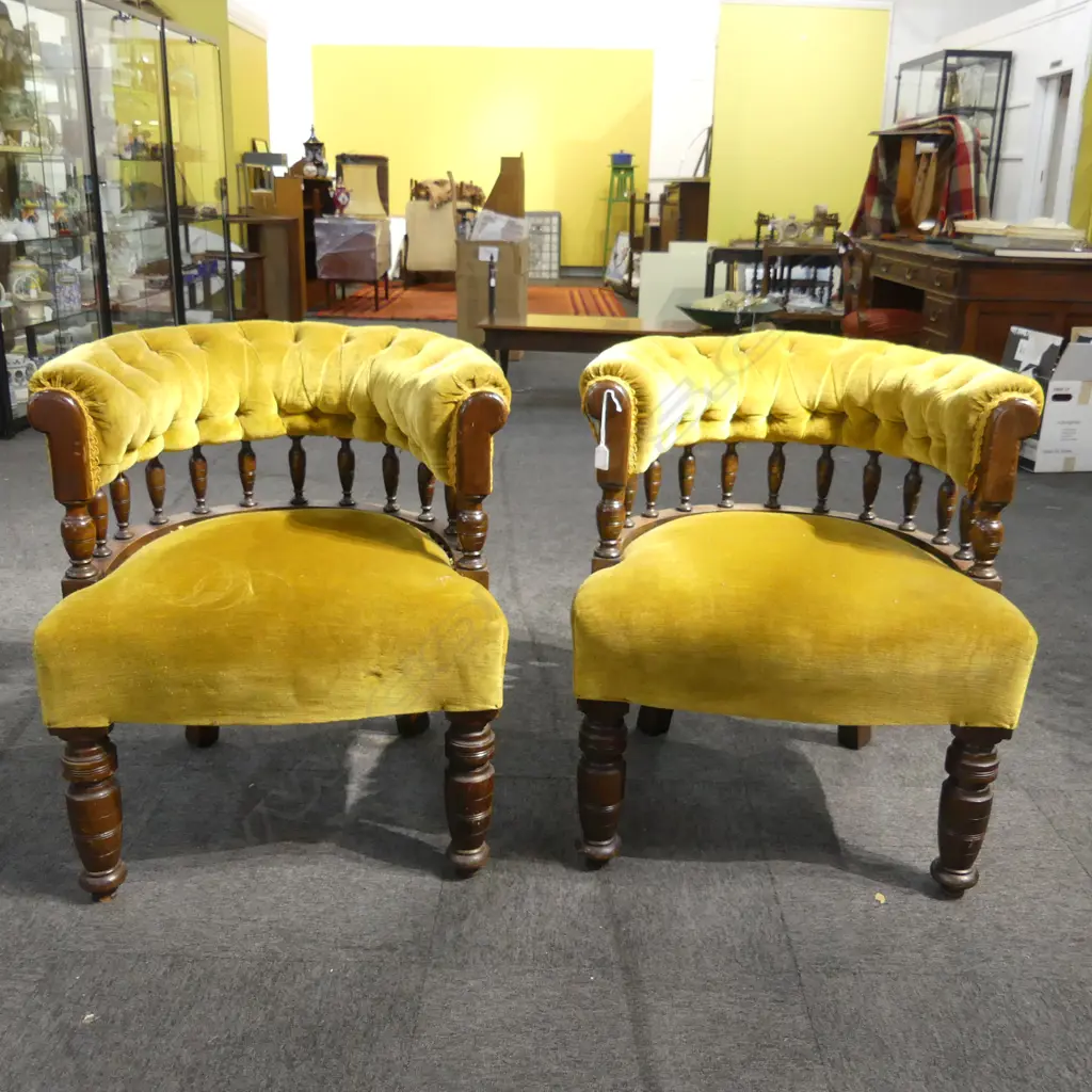 PR EDWARDIAN TUB CHAIRS IN MUSTARD VELVET Image 1++