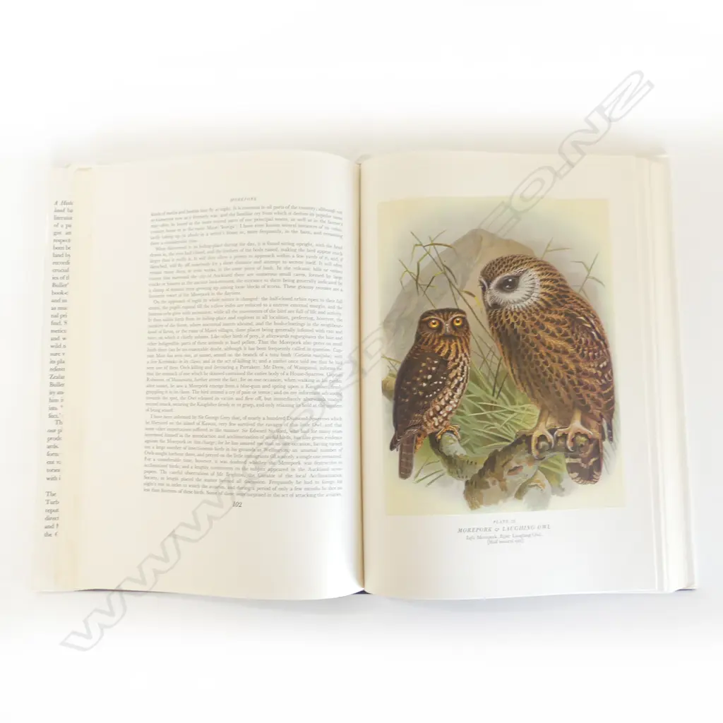 CASED BOOK: BULLERS BIRDS OF NEW ZEALAND 380x275mm in sleeve NEW EDITION 1967  Image 1++
