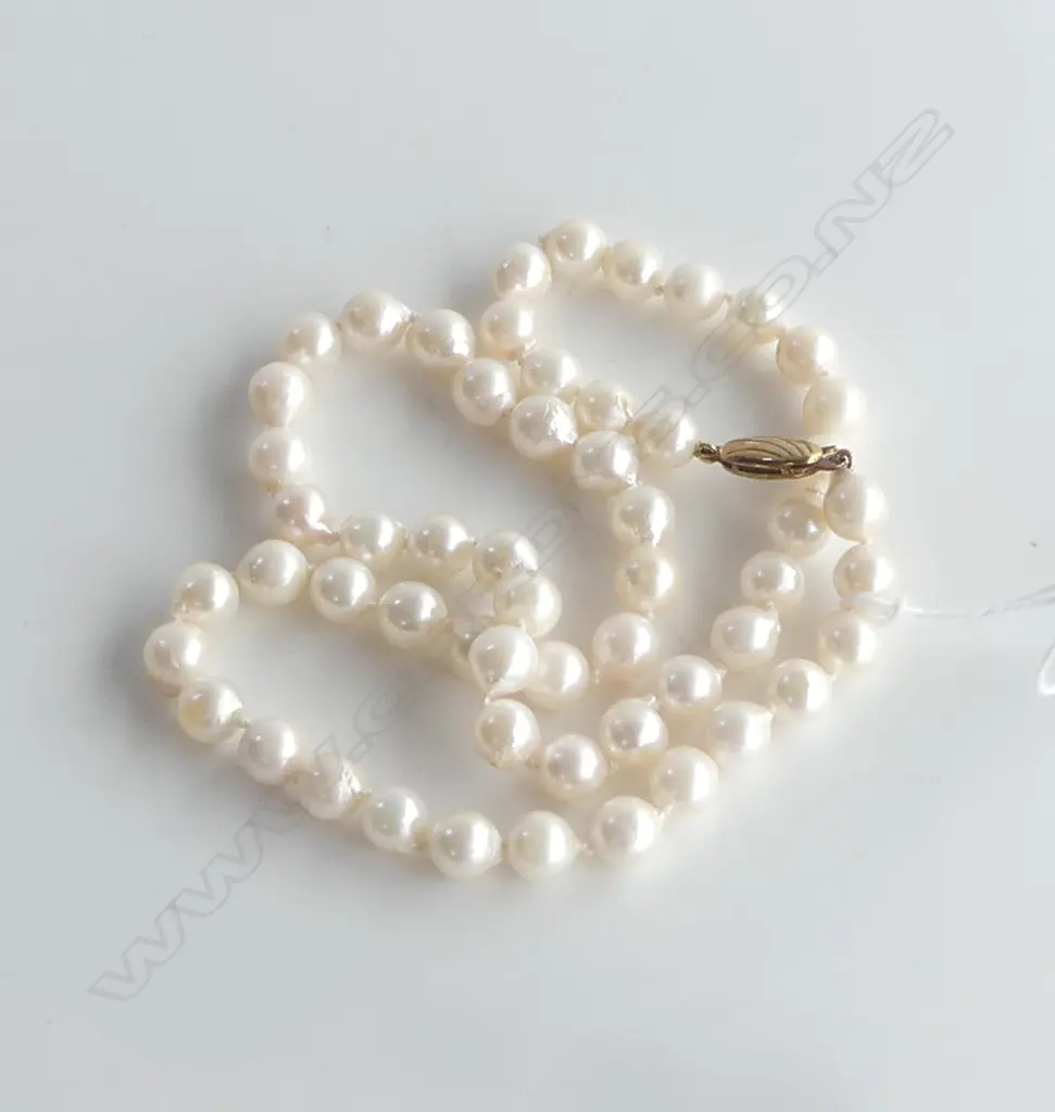 UNIFORM CULTURED PEARL NECKLACE L.410mm silver gilt clasp Image 1++