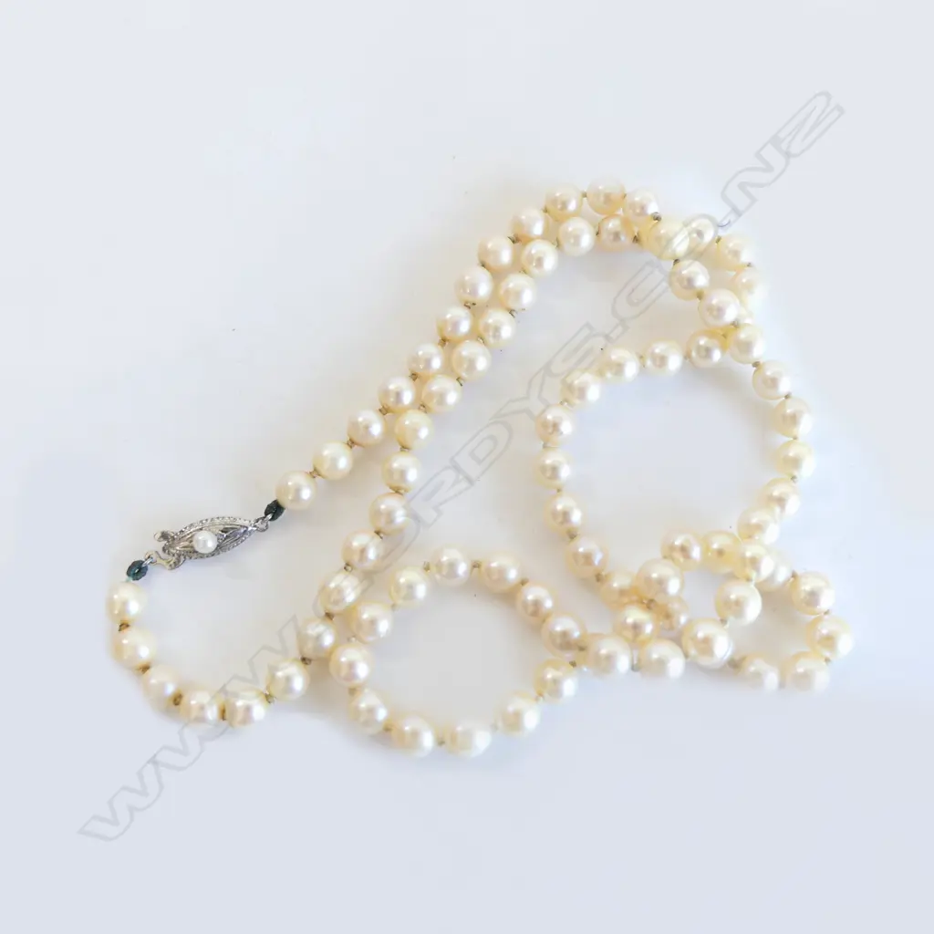 STRING 'TOYOMOTO' CULTURED PEARLS w SILVER CLASP Image 1++