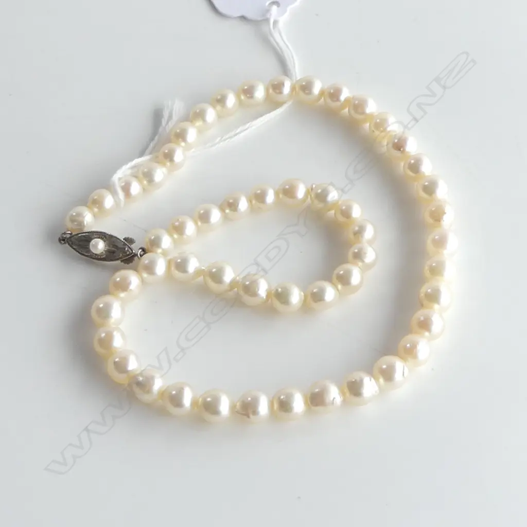UNIFORM CULTURED PEARL NECKLACE L.340mm silver clasp Image 1++
