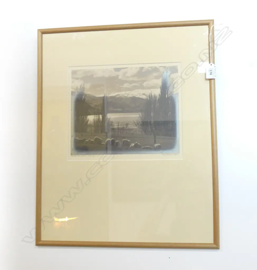 GEORGE CHANCE 'BESIDE LAKE HAYES - WAKATIPU - NZ' PHOTO PRINT 225x270mm Image 1++