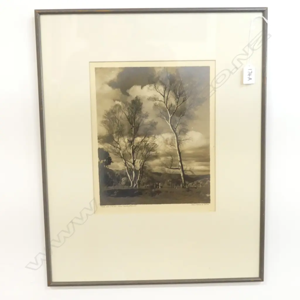 GEORGE CHANCE 'TREES AND CLOUDS, WELLINGTON' PHOTO PRINT 280x225mm Image 1++