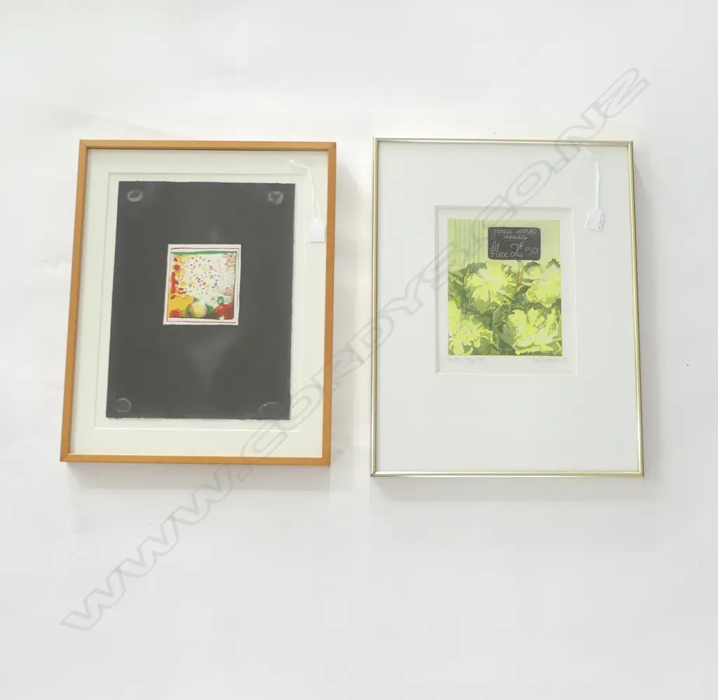 CLAIRE FERGISON NUMBERED PRINT H530 W410MM  & SIGNED MODERN ARTWORK H510 W410MM Image 1++
