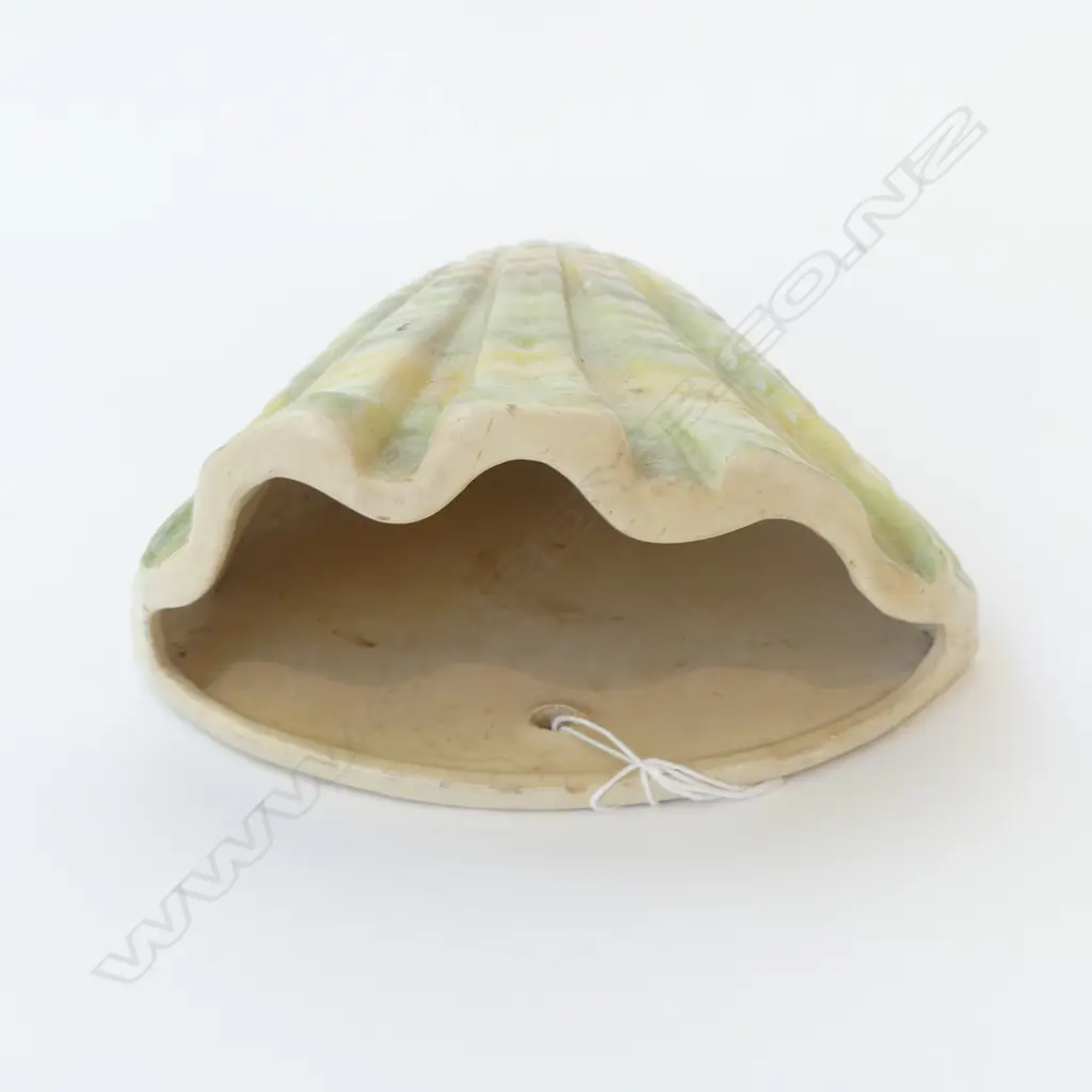 SPARTAN SHELL WALL VASE H.170mm Image 1++