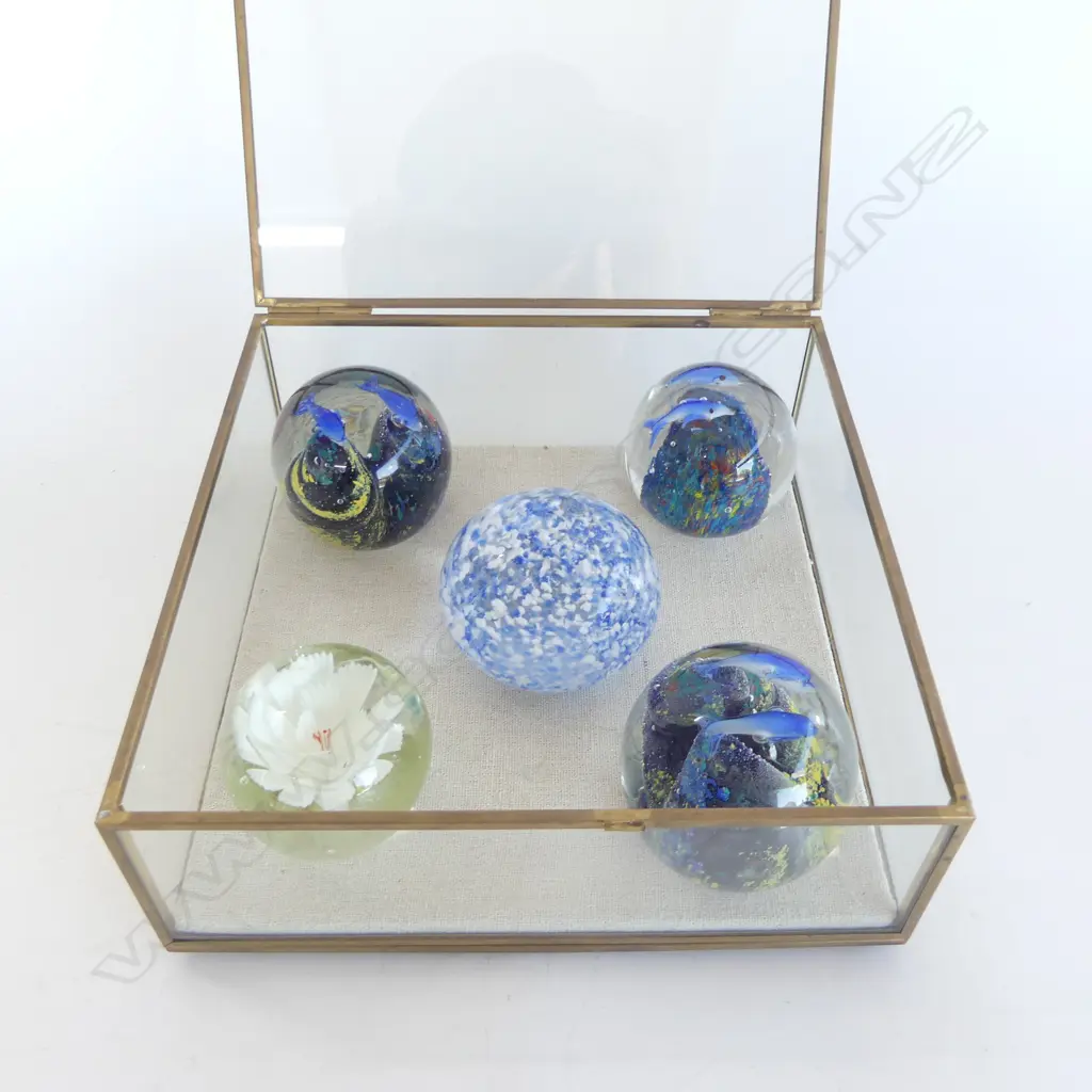 COLLECTION 5 ART GLASS PAPER WEIGHTS: 3 with dolphins + flower + mottled blue. In glass case Image 1++