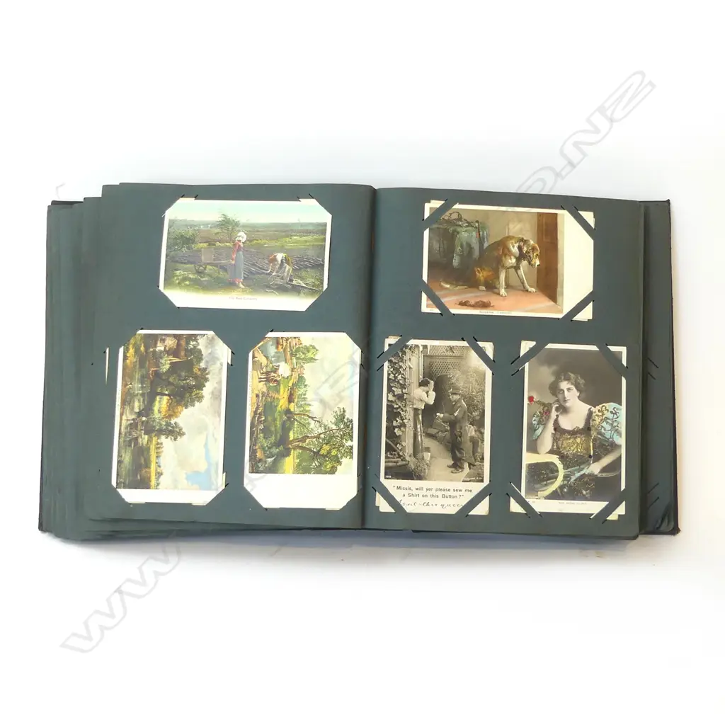 POSTCARD ALBUM C.1900 - HUMOUR ETC Image 1++