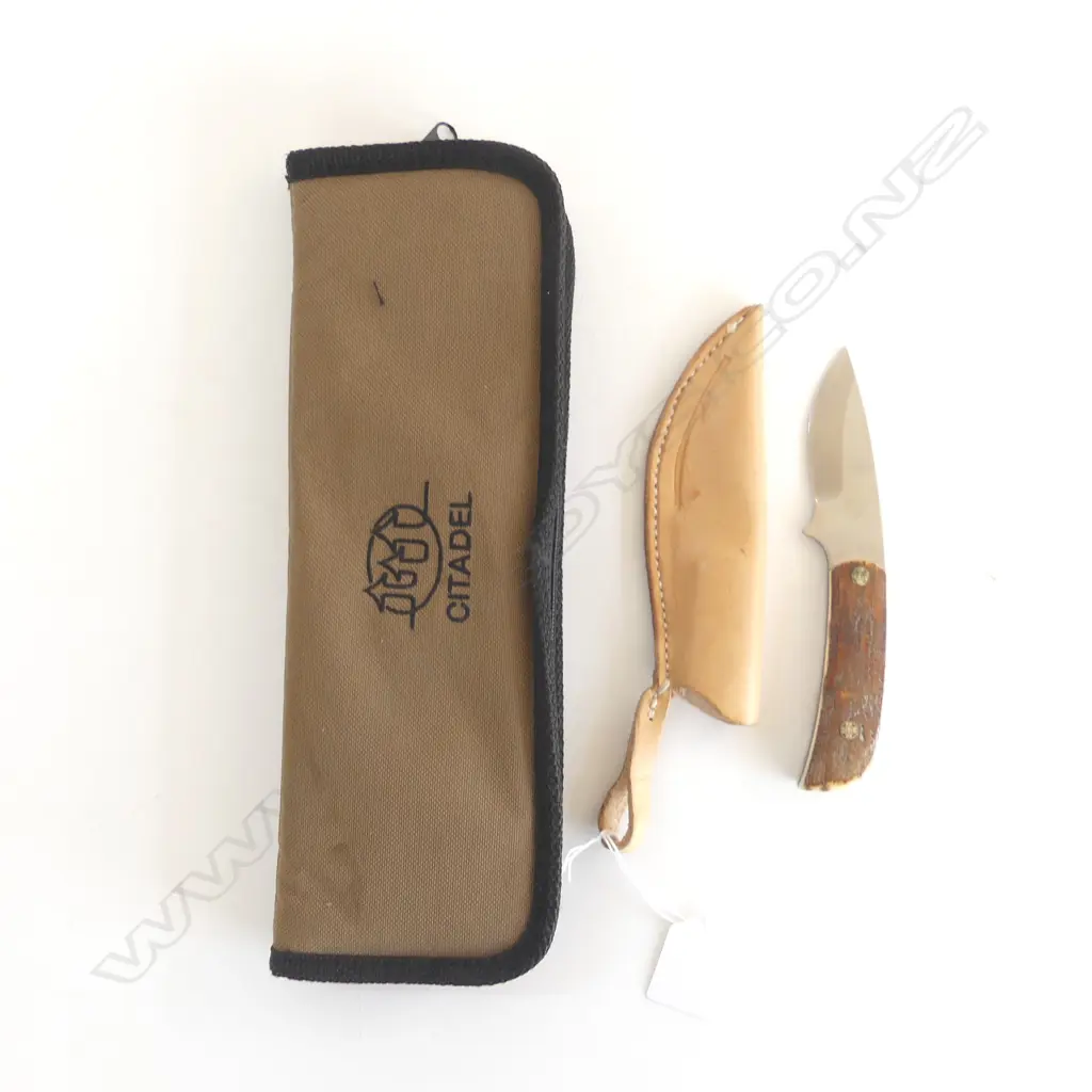 MAMMOTH TUSK HANDLED KNIFE, SAKURA NAIL, blade 80mm Image 1++