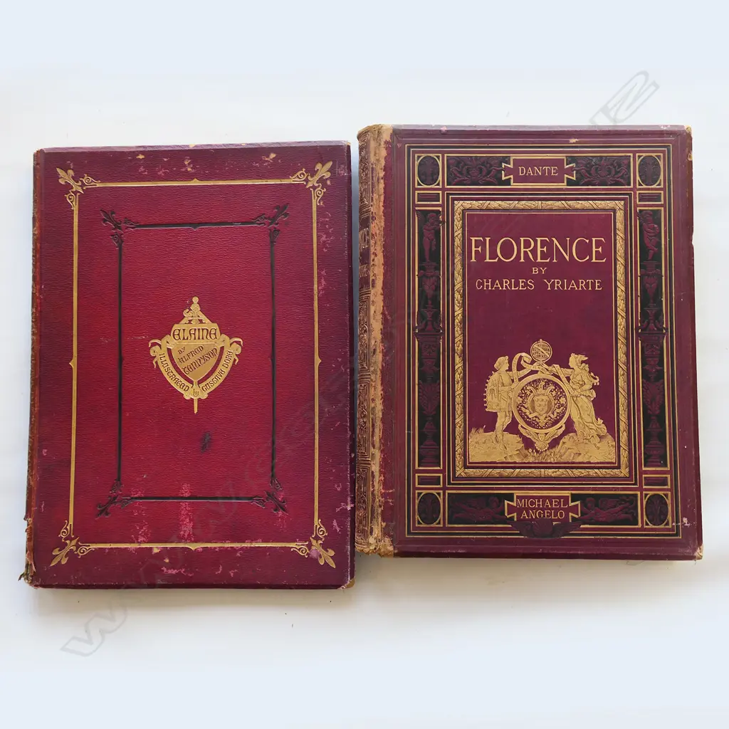 TWO LARGE VICTORIAN LEATHERBOUND BOOKS; 'ELAINE' & 'FLORENCE, BOTH DISTRESSED Image 1++