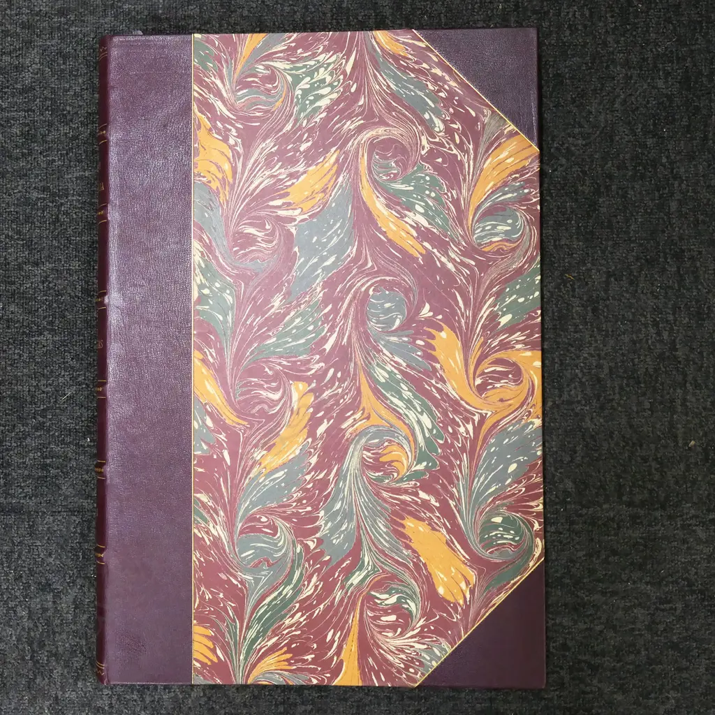 LG LTD ED GEORGE FRENCH ANGAS 'SOUTH AUSTRALIA ILLUSTRATED', 1967, H.560mm Image 1++
